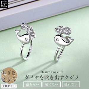 C[Jt CJt Zbg fB[X Vo[  C[JtX Vo[925 AM[ Ԃ   Vv KтȂ