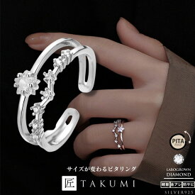 [TAKUMI]ピタリング 星 シルバーリング 指輪 ダブルリング メンズ 指輪 フリーサイズ 2連 ダイヤモンド シルバー925 シルバーブランド シンプル ダイヤモンド