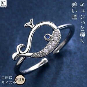 w t[TCY O w fB[X TCY O t[TCY _Ch  Vo[O NW nCA   킢