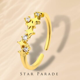[TAKUMI]ピタリング 星座リング リング 指輪 フリーサイズ レディース 重ね付け キラキラ シンプル 可愛い ダイヤモンド ブランド おしゃれ かわいい 華奢 錆びない