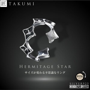 w t[TCY Vo[O fB[X Vo[ 925 Y Vo[925 re[W AeB[N   Vv KтȂ