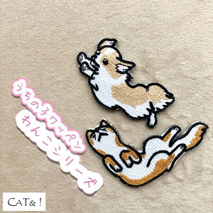 yhJbyzLbgAh̃byǂ2_`wI3_ȏẃ̕{1_v[gI/AbvP/|/Mtg/ybg/O/̎q/IWi/R[M[/p