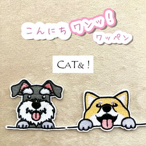 yhJbyzLbgAh̃byǂ2_`wI3_ȏẃ̕{1_v[gIAbvP/|/Mtg/ybg/O/̎q/IWi/R[M[/~j