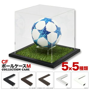 yzRNV{bNXyCF@{[t[@MTCYzTbJ[{[RNV{[@P[X@RNV@싅