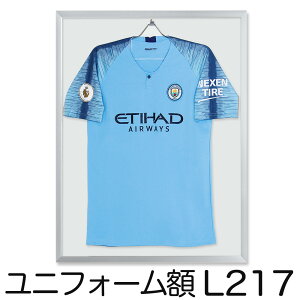 jtH[ zyL217 MTCY Vo[zRNVz fBXvC ziԂj