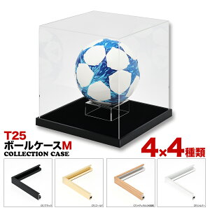 yzRNV{bNXyT25@{[t[@MTCYzTbJ[{[RNV{[@P[X@RNV@싅