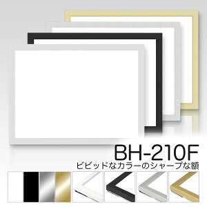 fbTzyBH-210Fzlc؃TCY@fbTzziԂjʉ@A~ fbT育ȒliŗǎȐlCi