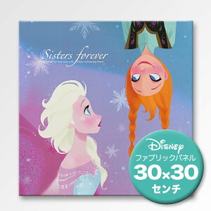 fBYj[ t@ubNplyAiƐ̏1 30pzDISNEYCeAA[g