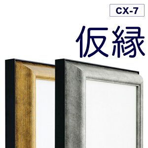 仮縁 額 f20の人気商品・通販・価格比較 - 価格.com