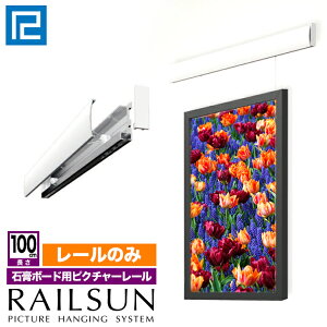 ΍p{[hp[̂݁yRAILSUN [̂ 100cmzWR-100sN`[[̂ tp ǖʐp 