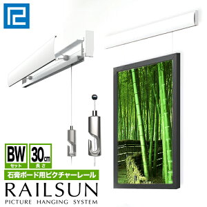 s[ցEstRAILSUN [T΍p{[hpsN`[[BWZbg30cmyRAILSUN FIT{[C[ݕtzWRS-30BWz݃[ CeAG fBXvC 