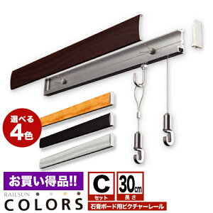 s[ցEst΍p{[hpRAILSUN COLORS [TsN`[[ Zbg 30cmyCOLORS ΍p{[hp[CZbgzRC-30Cz݃[ CeAG fBXvC 