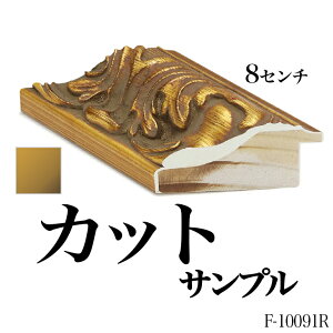 I[_[t[ [fBOyF-10091r zFNTv 8cm