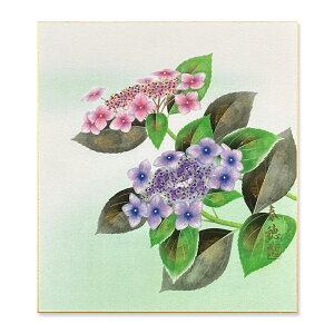 y[ցEszMF@Nyct@zԁ@06zFG@Ԓ@