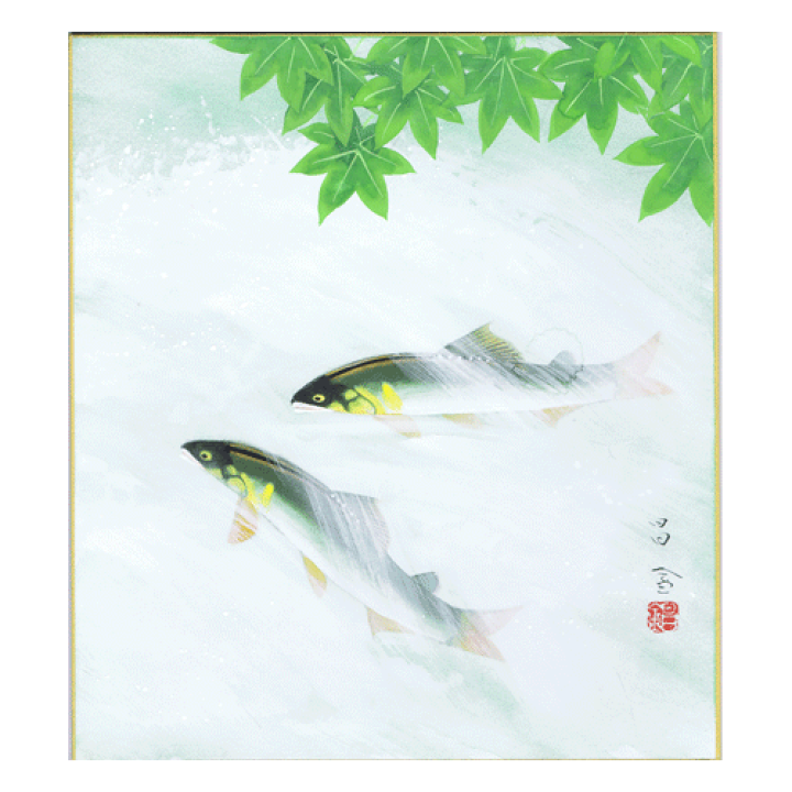 【真作】絵画　日本画（色紙）　鮎図　魚と水草　和の美　W165 楽天市場】夏の色紙里見昌金【鮎】あゆ／色紙絵／絵画