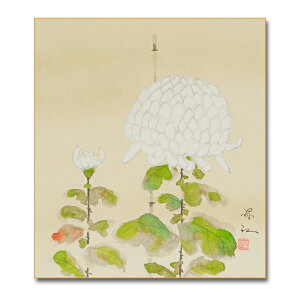 Ⴡ[֑ΉAEgbgF@Hye@018zÁ@[]{@GFAEgbgi 10P01Oct16