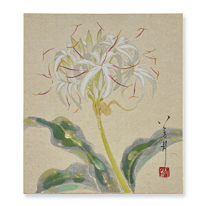 Ⴡ[֑ΉF@i@āy_ۖF@VK@026zM@{@G@F