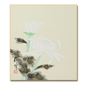 Ⴡ[֑ΉFEMFye@006zc@ޕ{@G@FAEgbgi