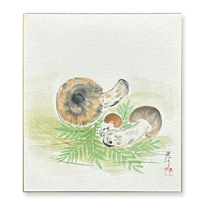 Ⴡ[֑ΉAEgbgF@Hy܂@02z{@G@F AEgbg