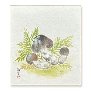 Ⴡ[֑ΉAEgbgF@Hy܂@004z{@G@F AEgbg