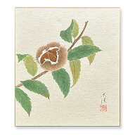 ≪メール便対応≫アウトレット色紙　秋【栗　010】小川草佳　絵画 日本画　色紙絵　和モダンアウトレット…