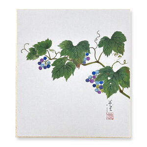 Ⴡ[֑Ήʉi@Hy쑐@Ԃǂ@04z{@G@F@FG AEgbg