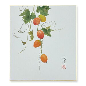 ≪メール便対応≫特別価格 秋【小川草佳 からすうり 05】日本画 絵画 色紙 色紙絵 アウトレット