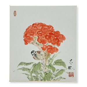 Ⴡ[֑ΉAEgbgF@Hye@08zcʐ{@G@AEgbg