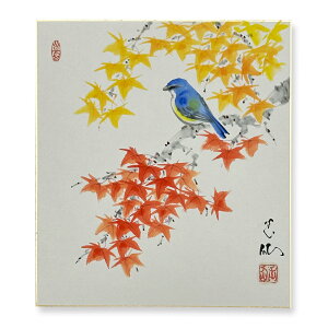 Ⴡ[֑ΉAEgbgF@Hye@08zcʐ{@G@AEgbg