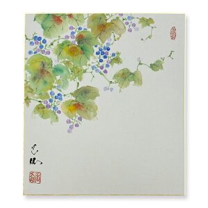 Ⴡ[֑ΉAEgbgF@Hye@08zcʐ{@G@AEgbg