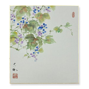 Ⴡ[֑ΉAEgbgF@Hye@08zcʐ{@G@AEgbg