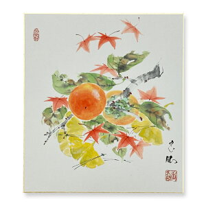 Ⴡ[֑ΉAEgbgF@Hye@08zcʐ{@G@AEgbg