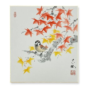 Ⴡ[֑ΉAEgbgF@Hye@08zcʐ{@G@AEgbg