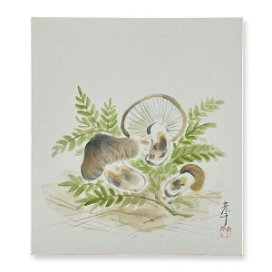 Ⴡ[ց⊱xF@x߁i܁jMy@x߁@NO.05z{@G@AEgbg