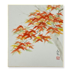 Ⴡ[֑ΉAEgbgF@HyƂ@05zo ߓ{@G AEgbg