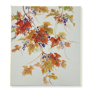 Ⴡ[֑ΉAEgbgF@HyƂ@05zo ߓ{@G AEgbg