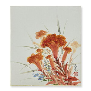 Ⴡ[֑ΉAEgbgF@HyƂ@05zo ߓ{@G AEgbg