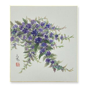 Ⴡ[֑ΉAEgbgF@HyƂ@05zo ߓ{@G AEgbg