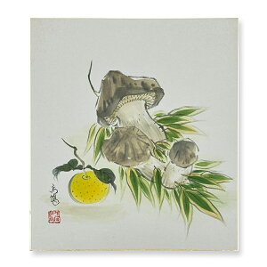 Ⴡ[֑ΉAEgbgF@HyƂ@05zo ߓ{@G AEgbg