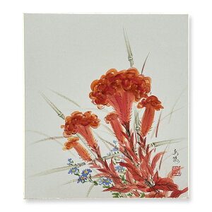 Ⴡ[֑ΉAEgbgF@HyƂ@05zo ߓ{@G AEgbg