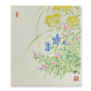 ≪メール便対応≫色紙 特価価格 初秋【田中玉仙 桔梗と秋草 014】直筆 日本画 絵画 色紙