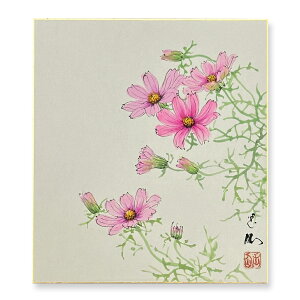≪メール便対応≫色紙 特価価格 初秋【田中玉仙 コスモス 017】直筆 日本画 絵画 色紙