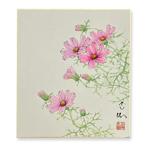 ≪メール便対応≫色紙 特価価格 初秋【田中玉仙 コスモス 018】直筆 日本画 絵画 色紙