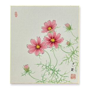 ≪メール便対応≫色紙 特価価格 初秋【田中玉仙 コスモス 019】直筆 日本画 絵画 色紙