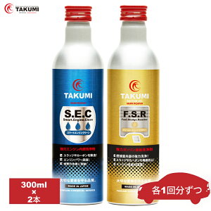 Y܃Zbg RY GWICY 300ml×2{ TAKUMI[^[IC S SEC FSR