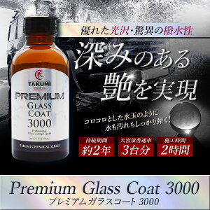 e 3䕪 KXR[eBO  xKX햌 ̓ߗ   炩  TAKUMI[^[IC PGC3000