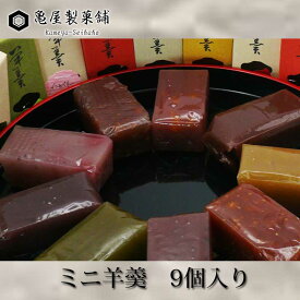 亀屋製菓舗　ミニ羊羹　9個入り【クール便】