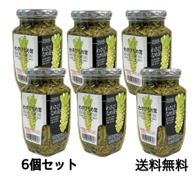 わさびなめ茸 しびれる大人のなめ茸 370g×6個セット