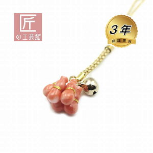 [CX̘ZZt iMtgΉj[CXZ Z\̌`ɒ肠N ZZiނт傤jaЂ̊肢߂ F