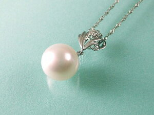 m^ y_g (̂MtgΉ) _Chtv`i 12~̓mp[y_ggbv 43Z`̃v`i`F[t